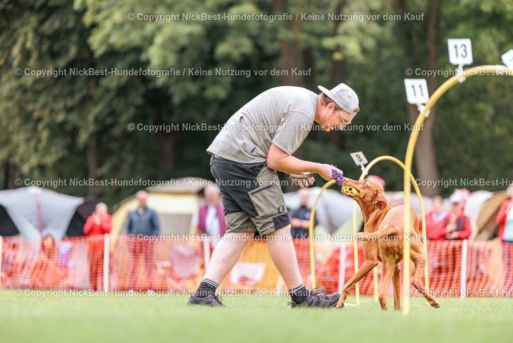 BSP Hoopers-H1 Tag2-2026-Nickbest-Hundefotografie-TuS Komet Arsten e.V.-2832 | Dein Hund! Dein Moment! Deine Erinnerungen! Hundefotografie in Bremen Blumenthal. Ich fange die besonderen Momente deines Vierbeiners ein – ob Indoor mit Blitzanlage oder in der freien Natur. Sicher dir dein Moment und dein Termin für eure Erinnerungen.