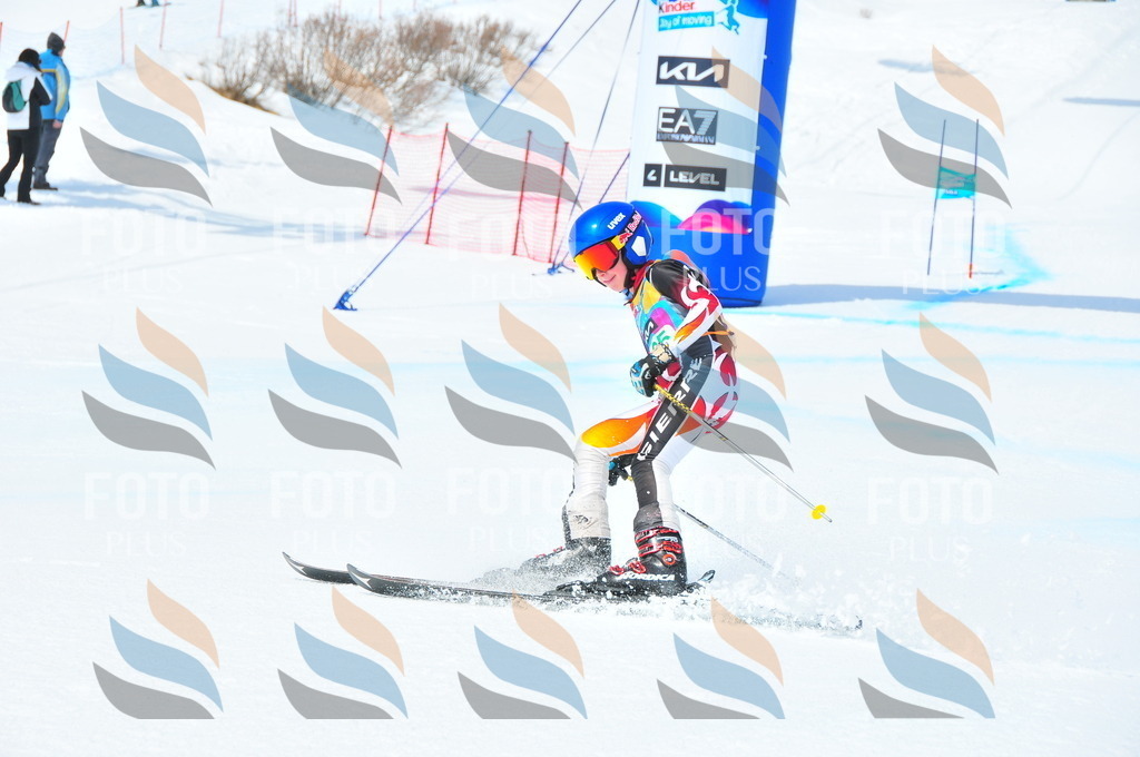 DSC_2986 | holidayphoto