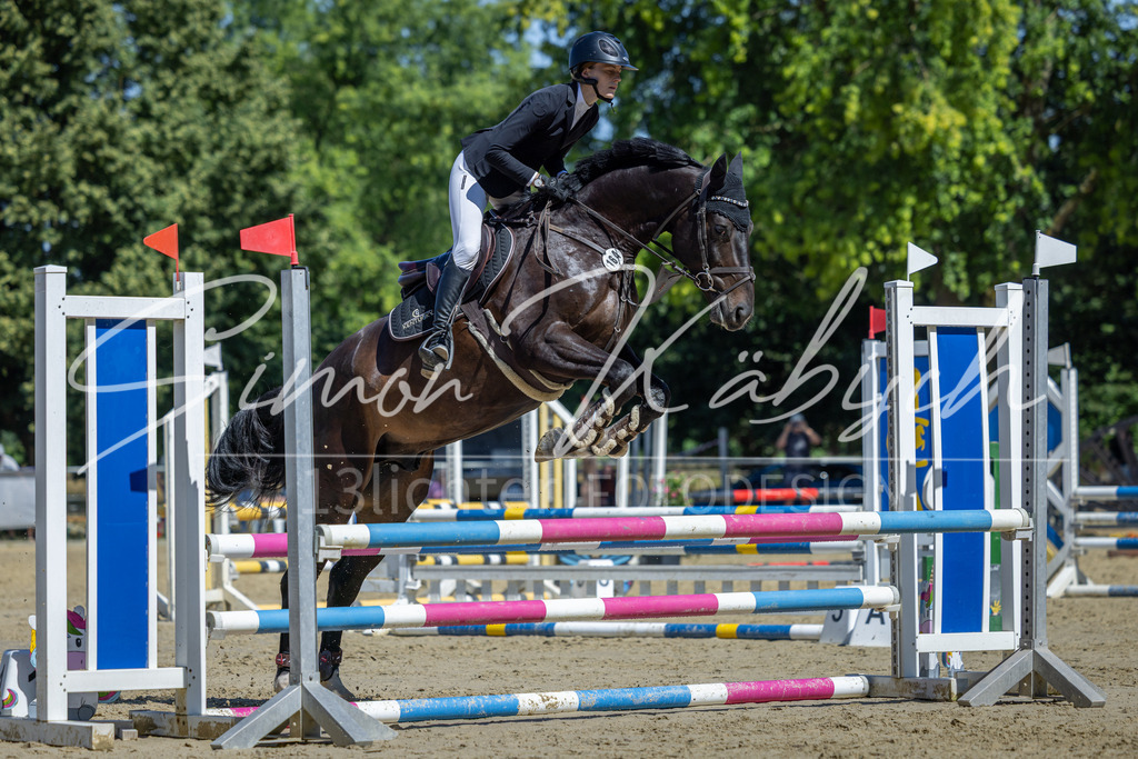 20260704-_3LI7692 | Tierfotografie Pferde, Hunde, Katzen, Haustiere.
Turnierfotografie Reitturniere, Reiten, Springreiten, Dressur in Hanau, dem Main-Kinzig-Kreis und dem Rhein-Main- Gebiet um Frankfurt