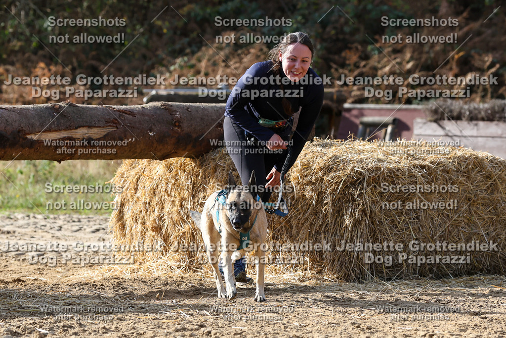Dog Paparazzi - Strongdog 10-25-5856 | Dog Paparazzi Jeanette Grottendiek Fotografie & Videografie - Realisiert mit Pictrs.com