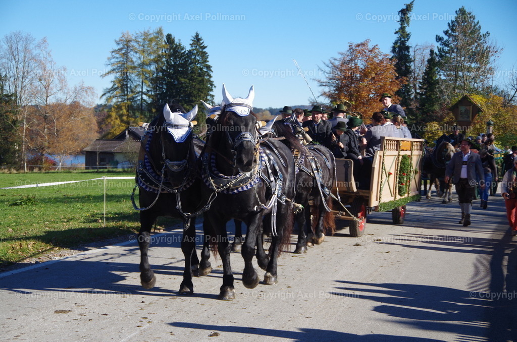 IMGP8541 | fotografiert von Axel PollmannLeonhardi Wallfahrt Benediktbeuern und Murnau, Fronleichnam, Fasching, Landschaft im Loisachtal und Benediktbeuern  - Realisiert mit Pictrs.com