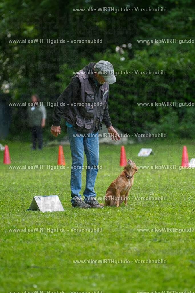 @allesWIRTHgut_Tierfotografie - www.allesWIRTHgut.de - 7R504133 | Professionelle Tierfotografie in Mönchengladbach von Daniel Wirth (allesWIRTHgut). Liebevolle & natürliche Bilder von Hunden & Katzen für unvergessliche Erinnerungen.