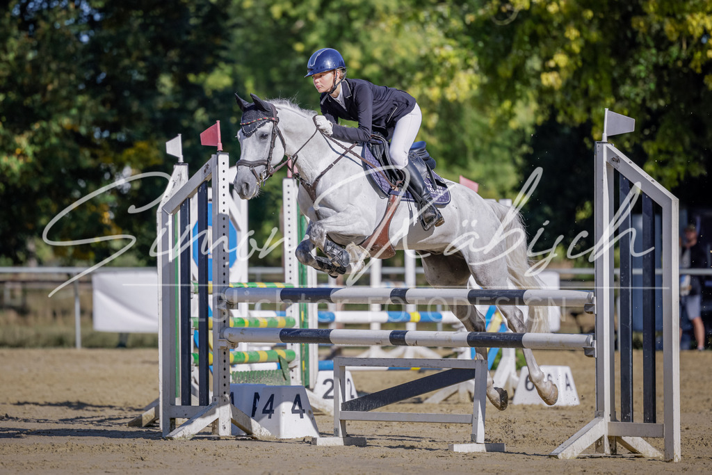20250906-_3LI3272 | Tierfotografie Pferde, Hunde, Katzen, Haustiere.
Turnierfotografie Reitturniere, Reiten, Springreiten, Dressur in Hanau, dem Main-Kinzig-Kreis und dem Rhein-Main- Gebiet um Frankfurt