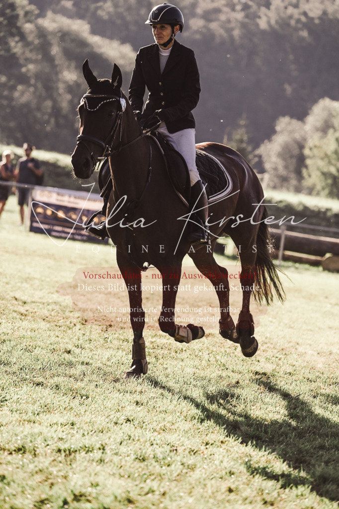 DSC_4654 | Pferde- und Turnierfotografie in Westsachsen. Pferdeportraits, Auftragszeichnungen und intuitive Kunst.
