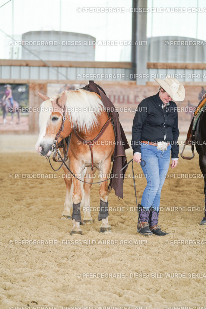 DSC02220 | Pferdegrafie