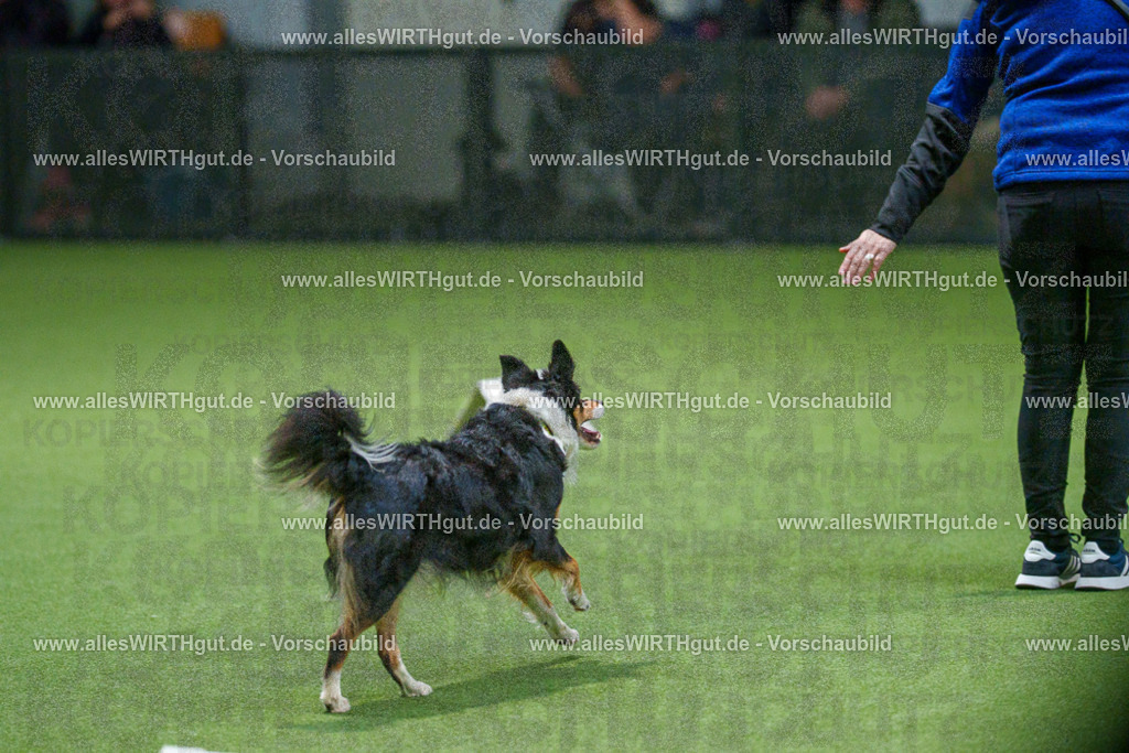 7R508144 | Professionelle Tierfotografie in Mönchengladbach von Daniel Wirth (allesWIRTHgut). Liebevolle & natürliche Bilder von Hunden & Katzen für unvergessliche Erinnerungen.