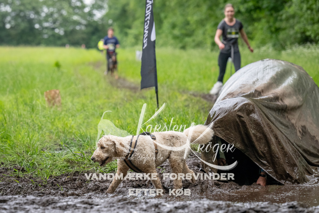 1553_ZZ90920-Bearbeitet | kk-dogfotos