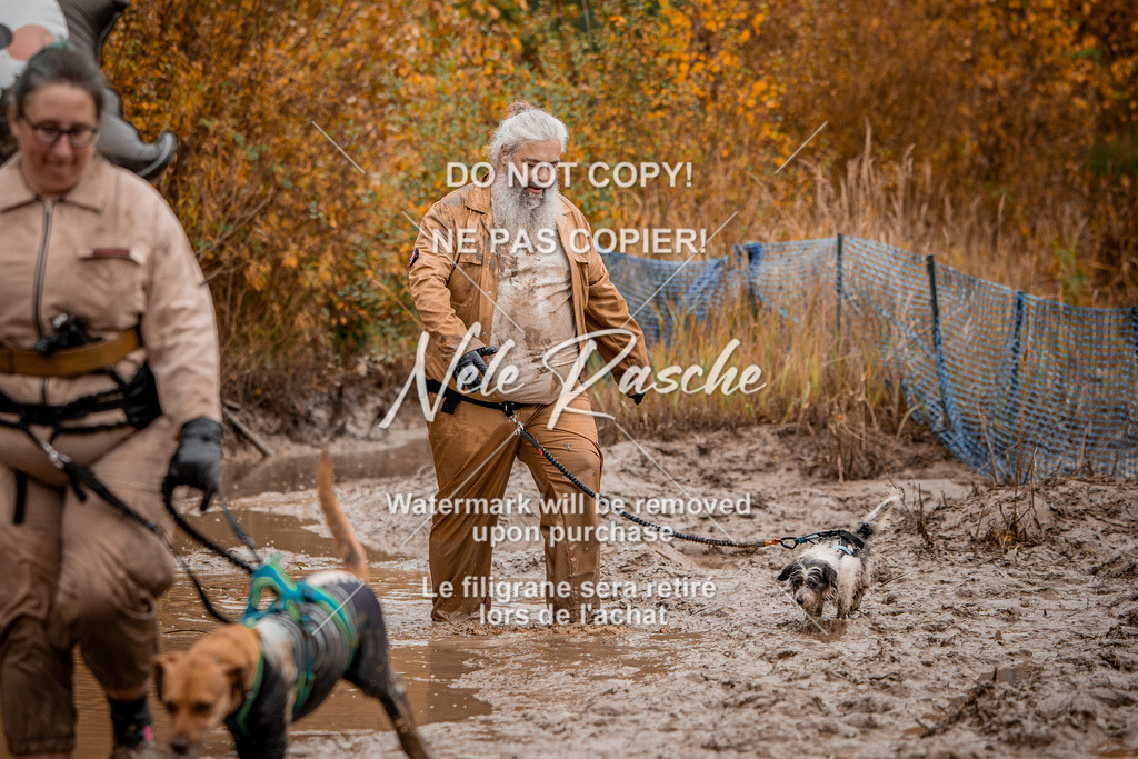 nelerasche_Creepy2025_Sa11-12_18 | nelerasche