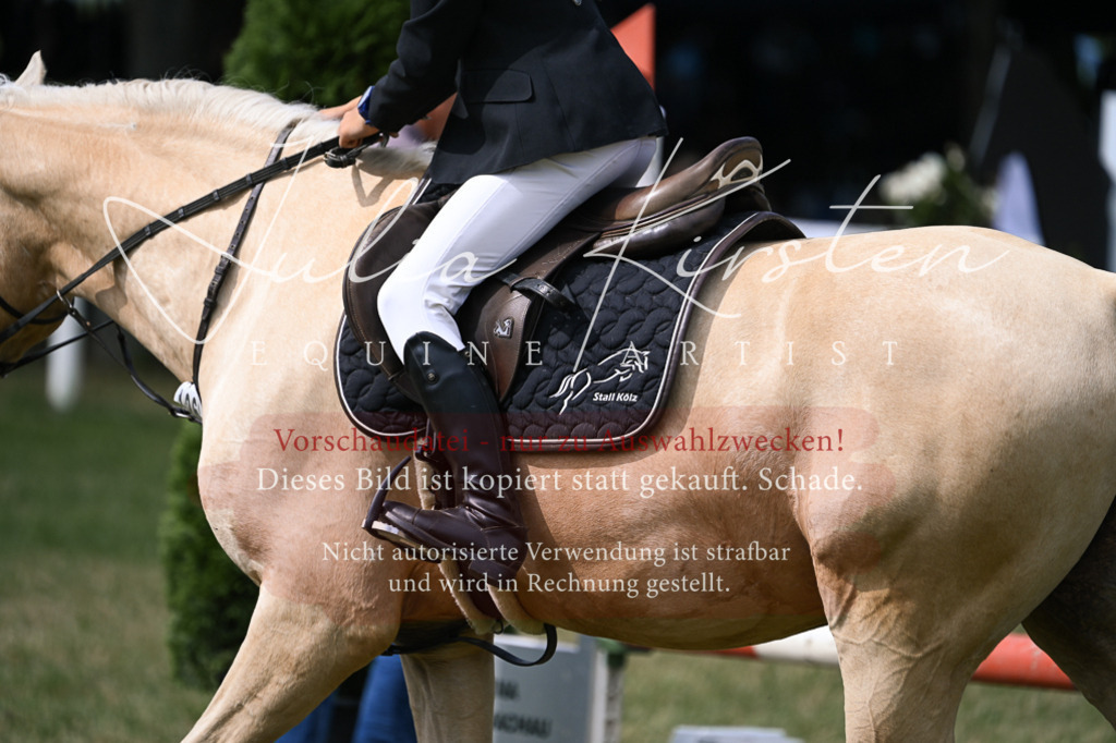 DSC_0640 | Pferde- und Turnierfotografie in Westsachsen. Pferdeportraits, Auftragszeichnungen und intuitive Kunst.
