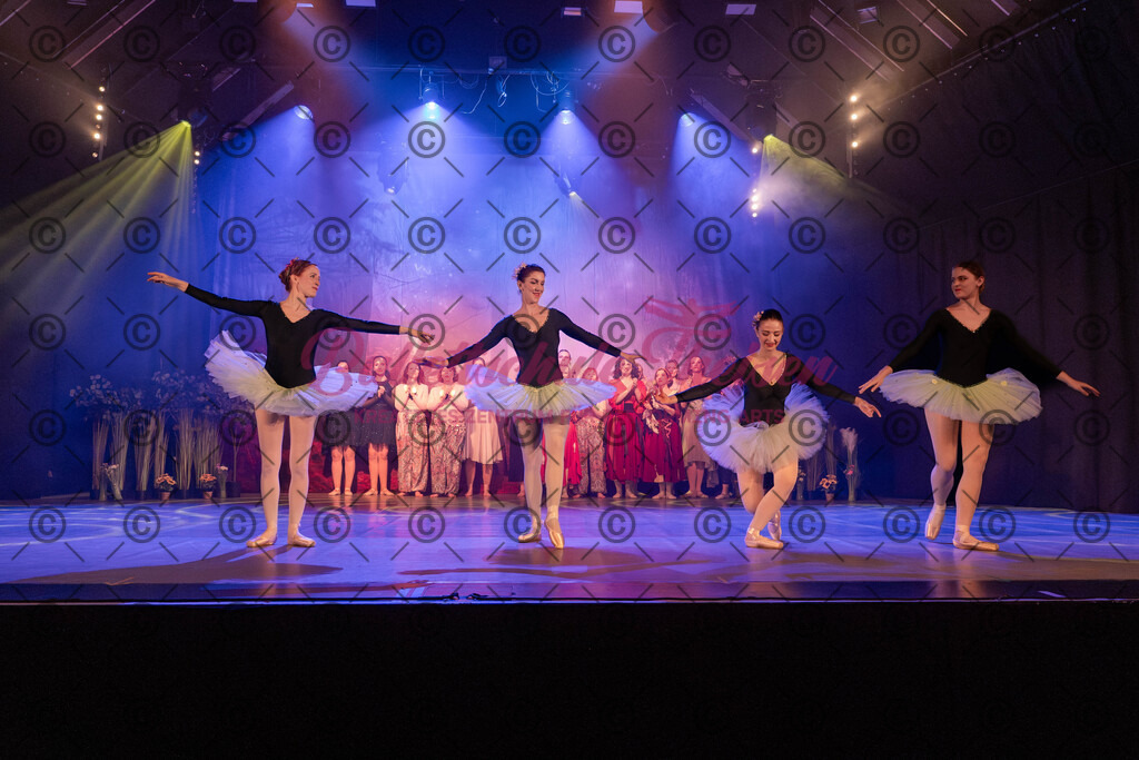 Ballettaufführung-1114 | Bildershop Lem'n Entertainment - Realisiert mit Pictrs.com