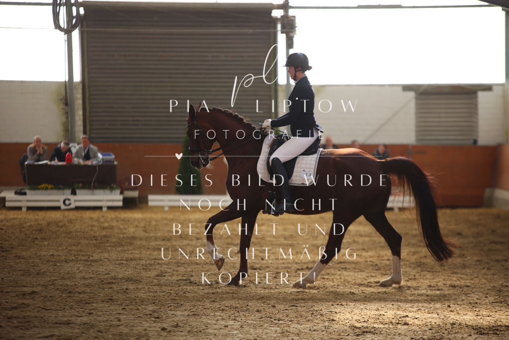 IMGT9898 | pl-fotografie