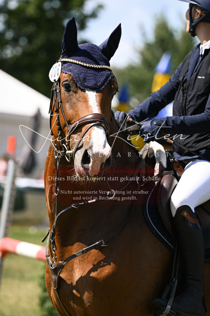 DSC_0390 | Pferde- und Turnierfotografie in Westsachsen. Pferdeportraits, Auftragszeichnungen und intuitive Kunst.
