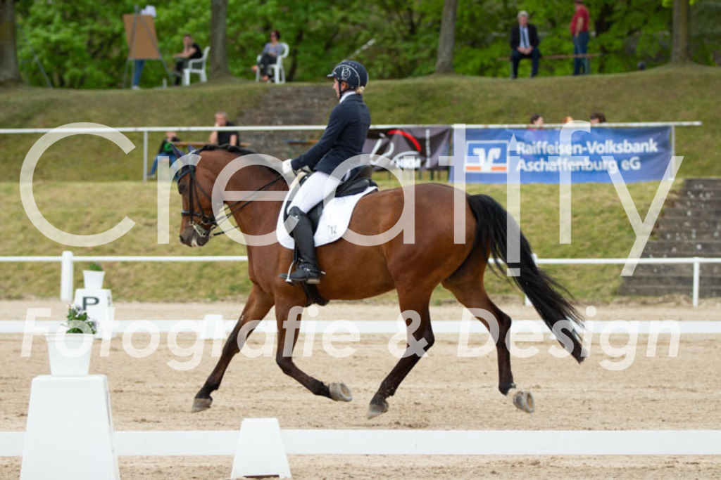 IMG_3107 | Creatify Fotografie