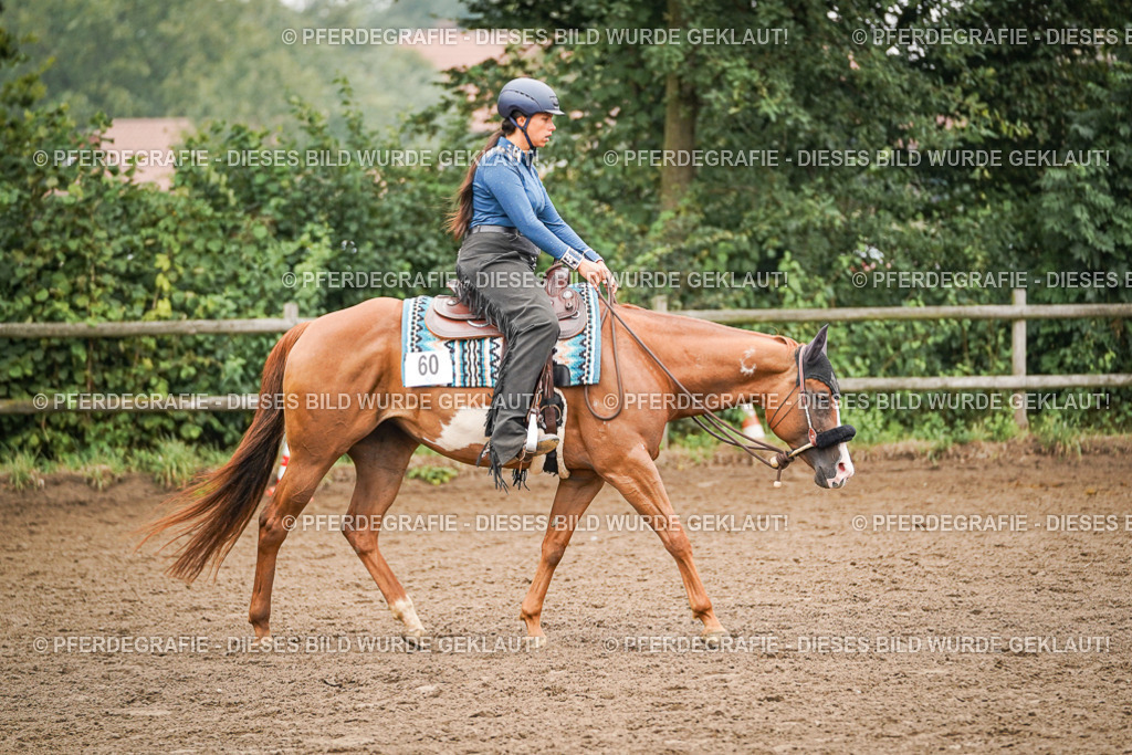 DSC02306 | Pferdegrafie