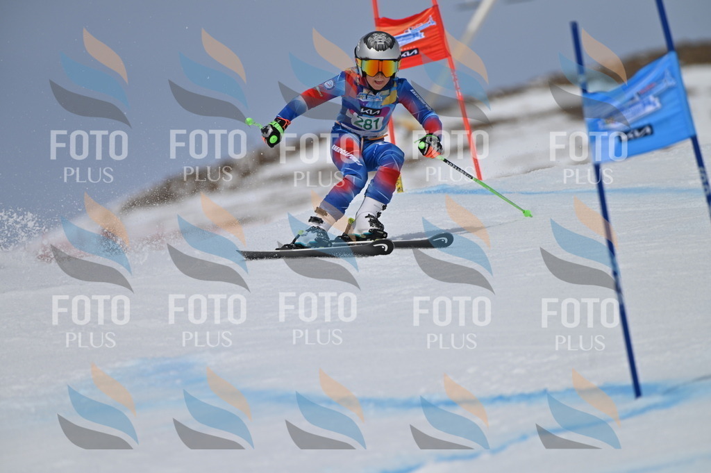 BGV_5581 | holidayphoto