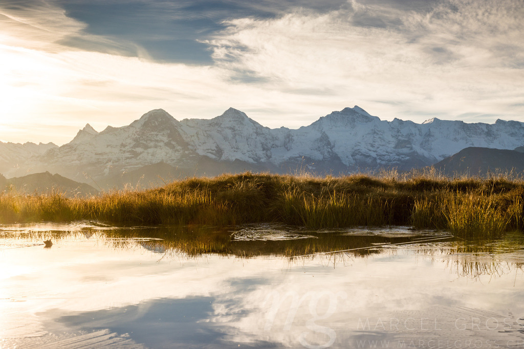 sunrise over a pond in the Bernese Alps with Eiger Mönch and Jungfrau | Die ideale Geschenkidee für Naturliebhaber. Naturbilder von Marcel Gross Photography für ihr Zuhause in den verschiedensten Formaten und Materialien. - Realisiert mit Pictrs.com