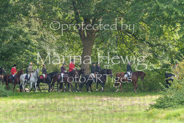 Jagd Perdoel_MarinaHewigMCH04601 | Fotografie, FotoArt, PferdesportArt, Pferdesportfotografie, Landschaftsfotografie, Reisefotografie, Reise, Pferde - Realisiert mit Pictrs.com