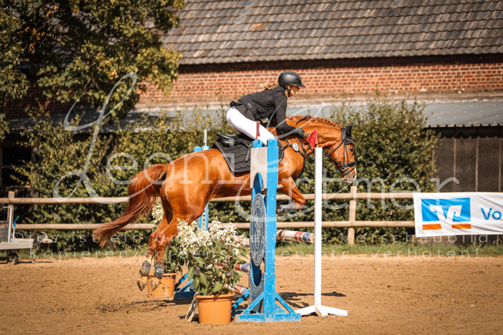 05.SaSpE00285 | Leoni Ertmer Photography - Realisiert mit Pictrs.com