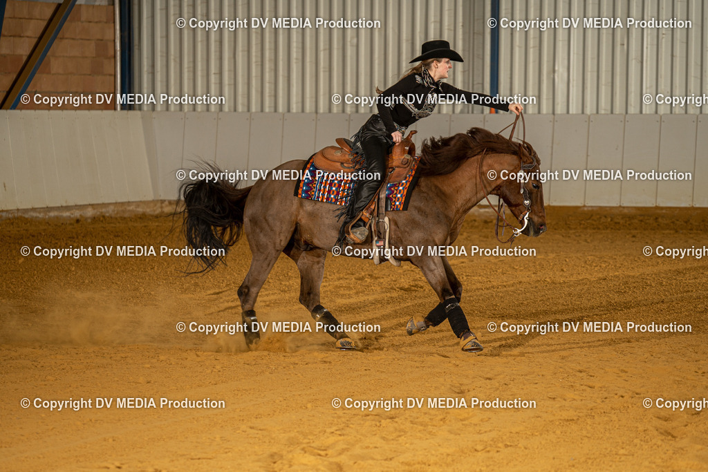 MIT00546 | dv-media-shop - Realisiert mit Pictrs.com