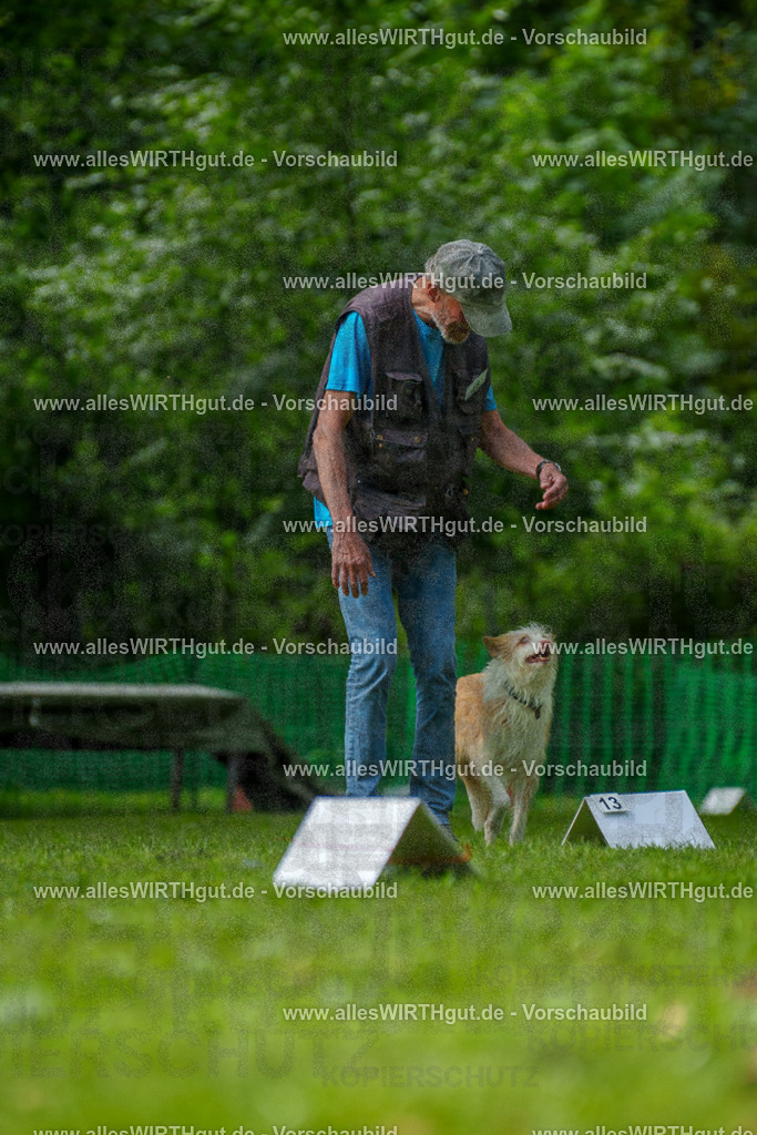 @allesWIRTHgut_Tierfotografie - www.allesWIRTHgut.de - 7R505593 | Professionelle Tierfotografie in Mönchengladbach von Daniel Wirth (allesWIRTHgut). Liebevolle & natürliche Bilder von Hunden & Katzen für unvergessliche Erinnerungen.