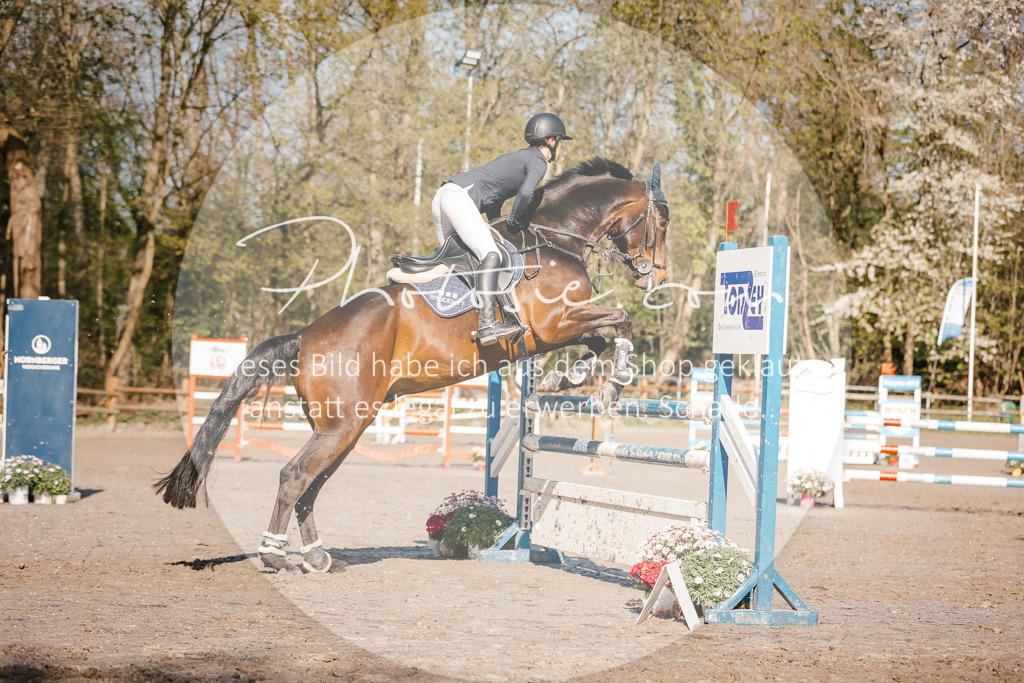 3I6A3664 | Stimmungsvolle Portraits und Reitsportfotografie im Ruhrgebiet und im Münsterland.

Pferdefotografie, Hundefotografie, Tierfotografie, Reportagen, Portraits von Tier und Mensch, Turnierfotografie in Bochum, Recklinghausen, Marl, Haltern am See, Dülmen.. - Realisiert mit Pictrs.com
