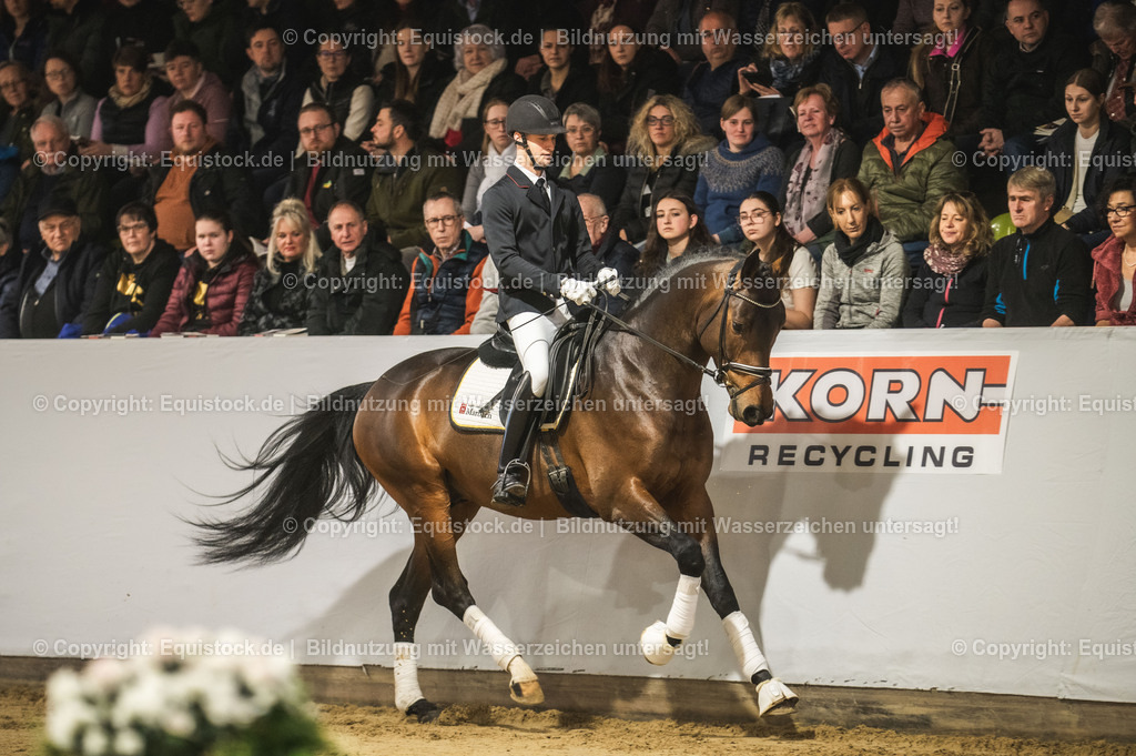 20240302_Hengstvorstellung_Marbach_TOMsPiC_0131-2 | equistock