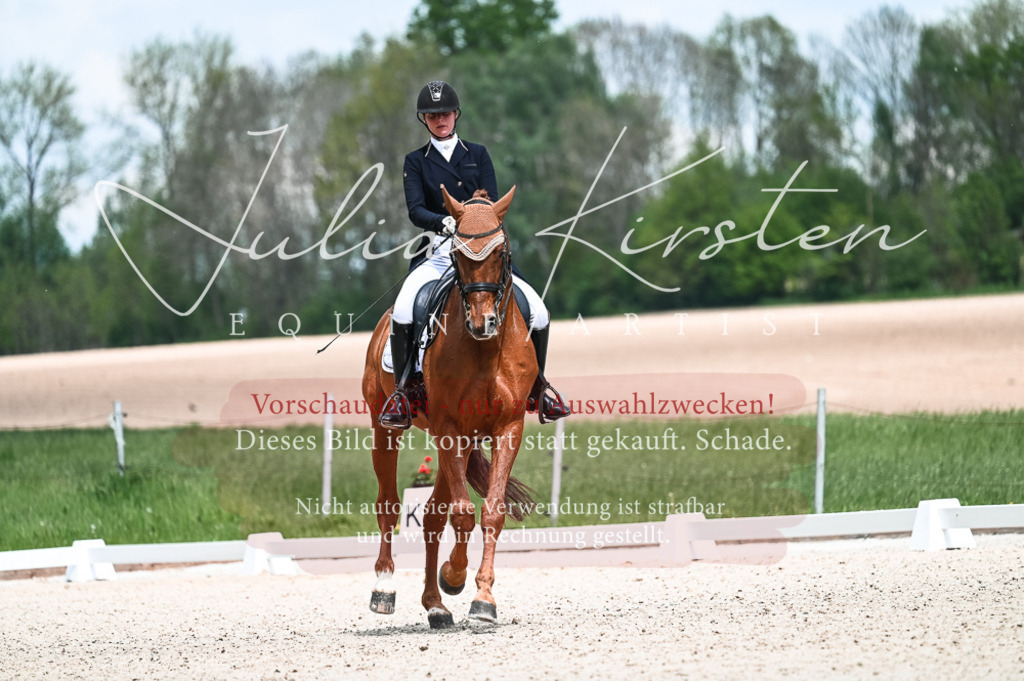 20230514_JK-Röhrsdorf-21-035 | Pferde- und Turnierfotografie in Westsachsen. Pferdeportraits, Auftragszeichnungen und intuitive Kunst.