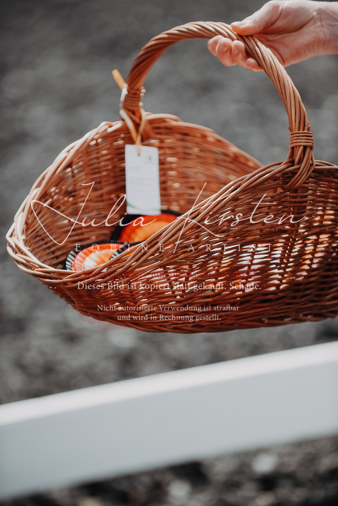 DSC_5146 | Pferde- und Turnierfotografie in Westsachsen. Pferdeportraits, Auftragszeichnungen und intuitive Kunst.