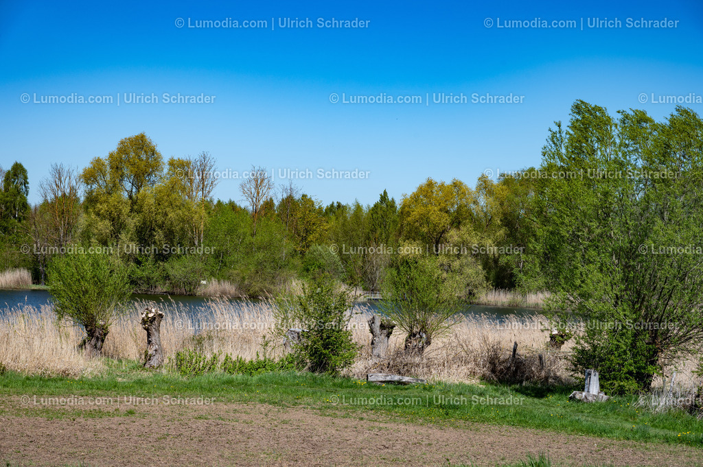 10049-14018 - Opfermoor in Niederdorla | Stockfoto und Bilderpool mit Bildmaterial aus Deutschland, dem Harz, Halberstadt, Quedlinburg, Wernigerode und weltweit. Qualitativ hochwertige und professionelle Fotos anschauen und kaufen. - Realisiert mit Pictrs.com