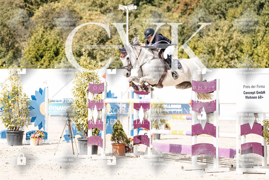 CK905272 | Turnierfotografie Pferdefotografie Trier Rheinland-Pfalz Pferdesport Reitsport Tierfotografie Sportfotografie Pferdevideo Pferdevideografie Equestrianvideography equestrianphotography  - Realisiert mit Pictrs.com