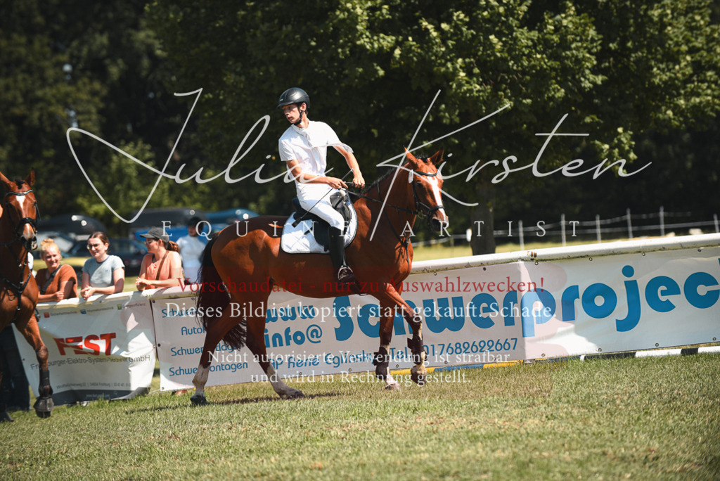 DSC_6588 | Pferde- und Turnierfotografie in Westsachsen. Pferdeportraits, Auftragszeichnungen und intuitive Kunst.