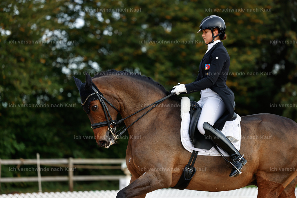 13-186-S___ -StoibPH-7022 | working equitationturnier fotograf videograf stoibphotography marixx film working equitation deutschland reitsport turnierfotografie eventfotografie equestrian events