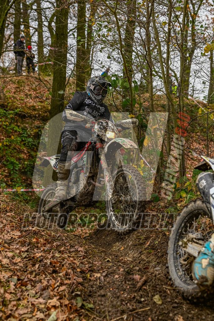 NZ8_4847 | grenznic640