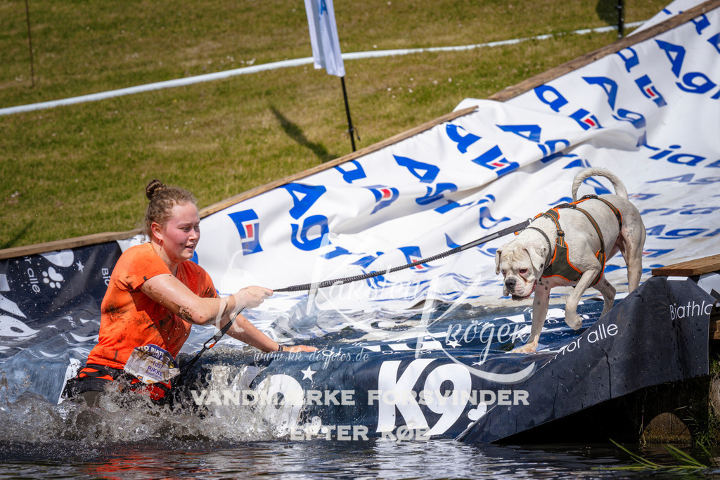 _ZZ955001008 | kk-dogfotos