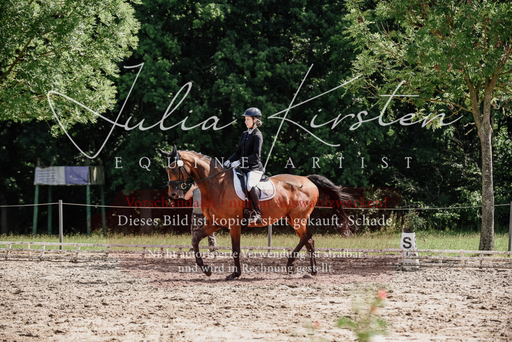 DSC_0448 | Pferde- und Turnierfotografie in Westsachsen. Pferdeportraits, Auftragszeichnungen und intuitive Kunst.
