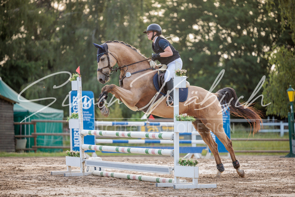 20260529-_3LI1528 | Tierfotografie Pferde, Hunde, Katzen, Haustiere.
Turnierfotografie Reitturniere, Reiten, Springreiten, Dressur in Hanau, dem Main-Kinzig-Kreis und dem Rhein-Main- Gebiet um Frankfurt