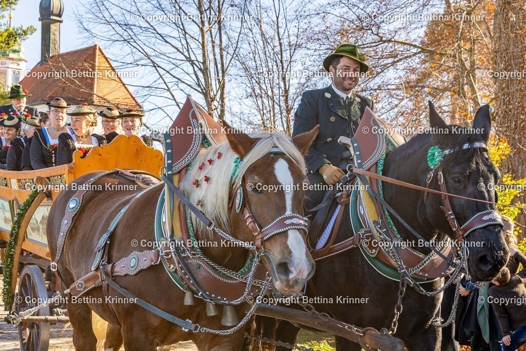 LBT25-1389 | foto-bettina-krinner - Realisiert mit Pictrs.com