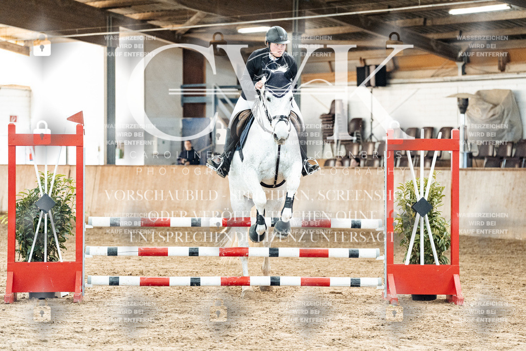 CK904487 | Turnierfotografie Pferdefotografie Trier Rheinland-Pfalz Pferdesport Reitsport Tierfotografie Sportfotografie Pferdevideo Pferdevideografie Equestrianvideography equestrianphotography  - Realisiert mit Pictrs.com