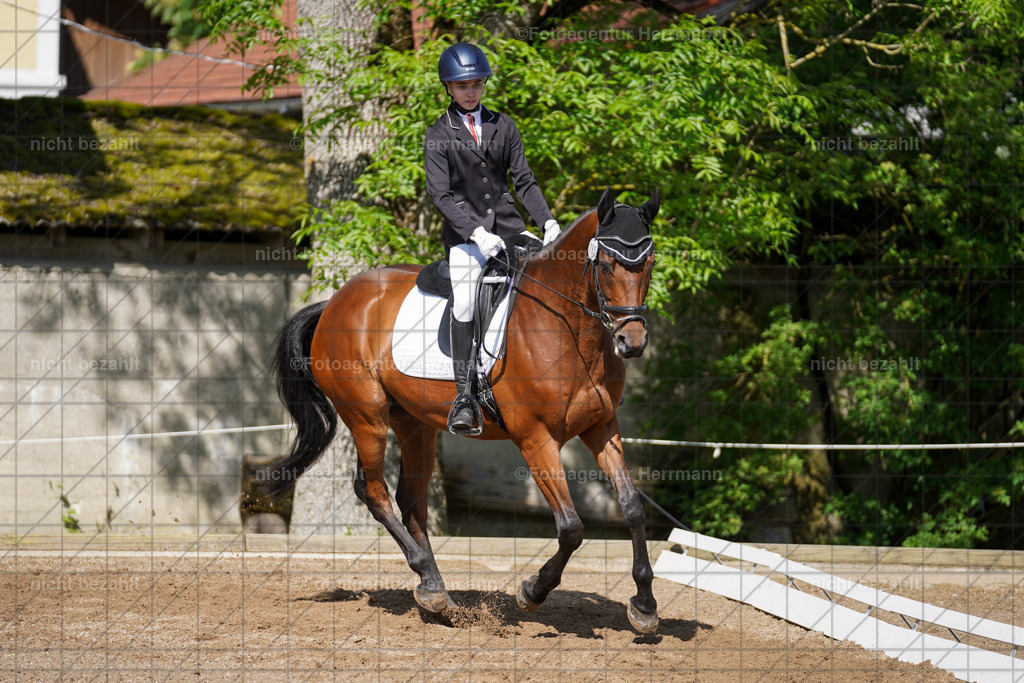 20240519-FAH04731 | Turnierbilder Niederseeon 2024, Vielseitigkeitsdressur, Reitsportbilder aus dem Landkreit Ebersberg, Gut Steinsee, RC Steinsee, Fotoagentur Herrmann