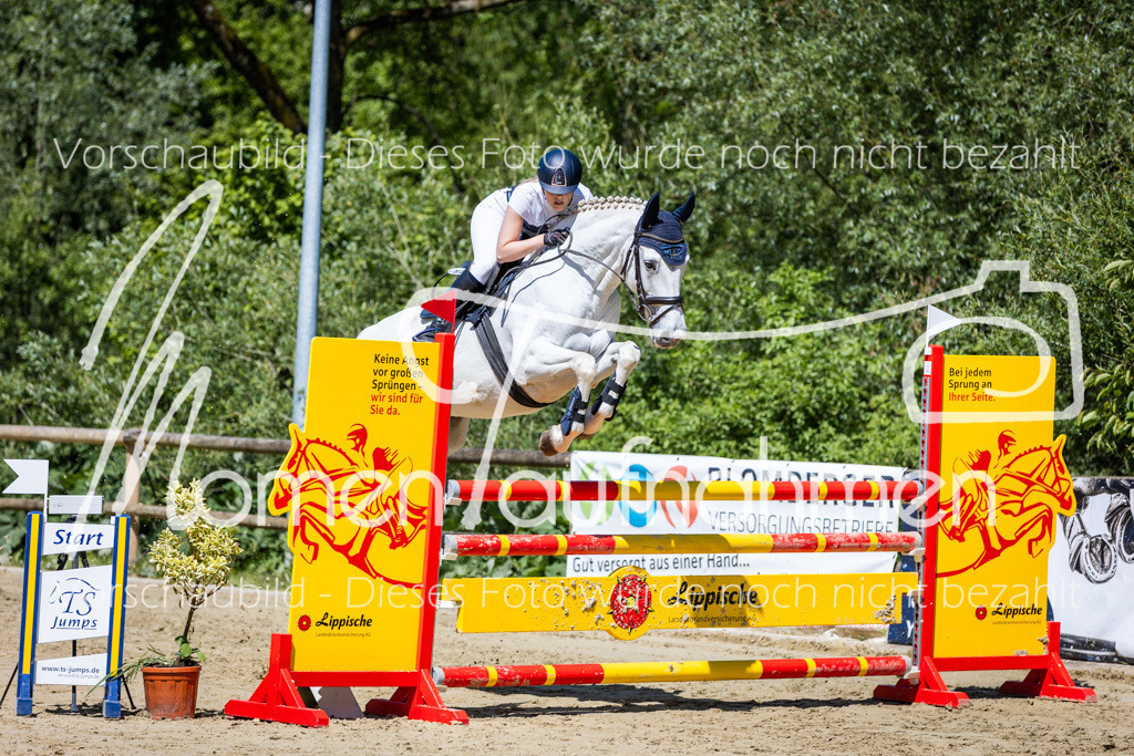 Donop24-Stil-L-044 | MomenTaufnahmen Pferdesportfotos