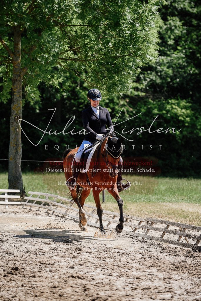 DSC_1864 | Pferde- und Turnierfotografie in Westsachsen. Pferdeportraits, Auftragszeichnungen und intuitive Kunst.