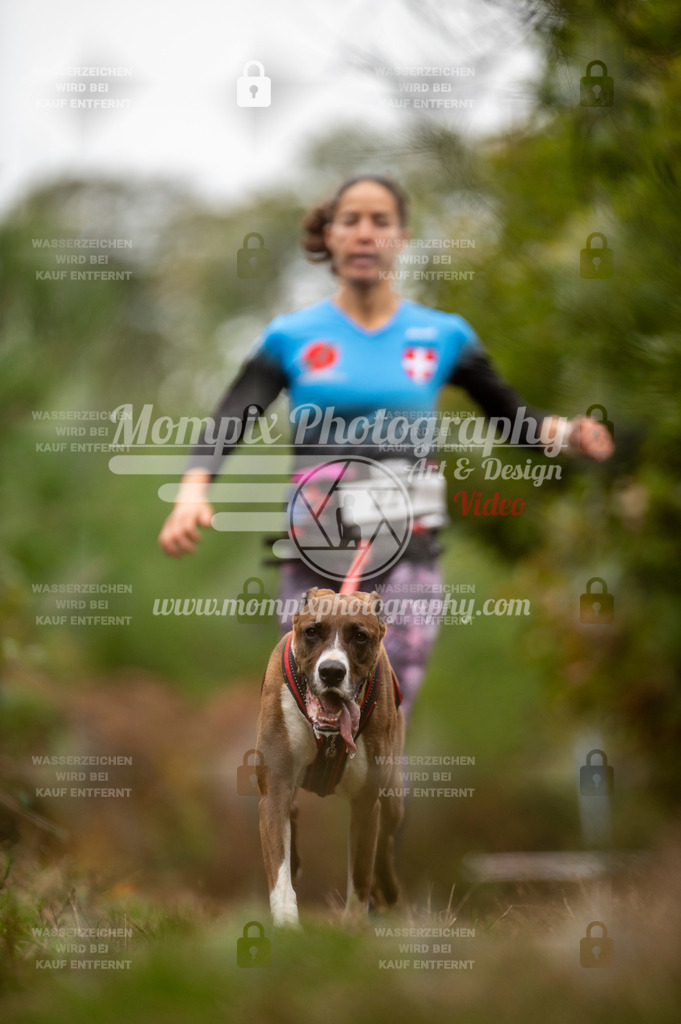 TSB_2023_E5_Canicross-15 | PayLife