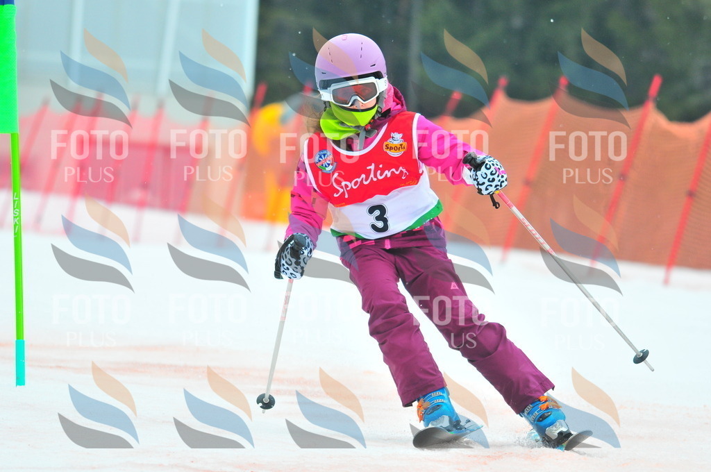 C0536 | holidayphoto