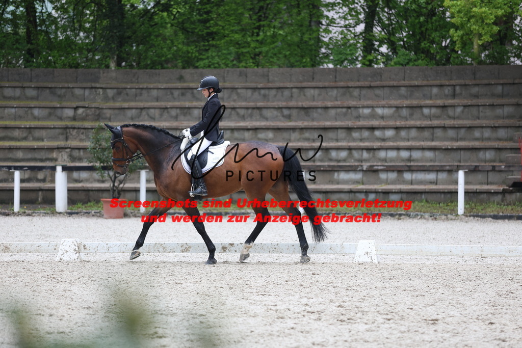 A40A8907 | lmwpictures - Realisiert mit Pictrs.com