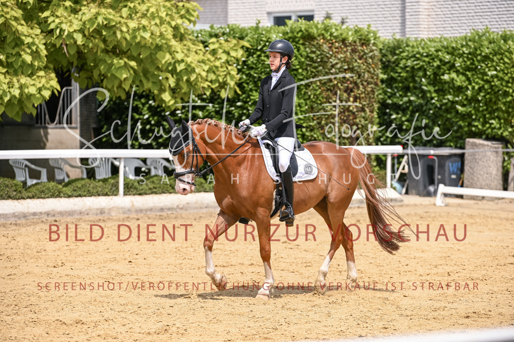 Schugtsche-Aluta25-55.Dressurreiterprf.L1Tr-75 | Schugtsche Fotografie - Realisiert mit Pictrs.com
