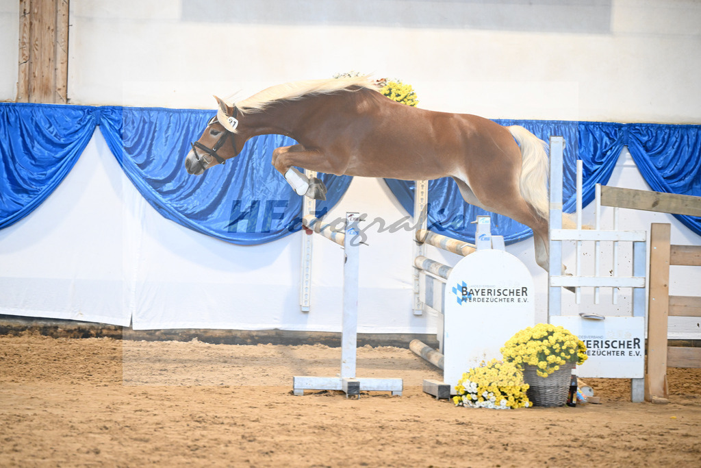 Kat-Nr. 31 Weinbrand v. Weingold S_Brugger_48250703 | hf-fotografie - Realisiert mit Pictrs.com