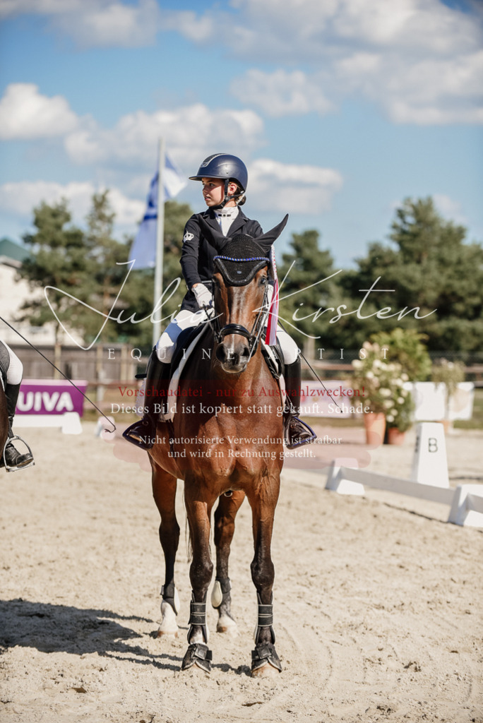 DSC_9811 | Pferde- und Turnierfotografie in Westsachsen. Pferdeportraits, Auftragszeichnungen und intuitive Kunst.