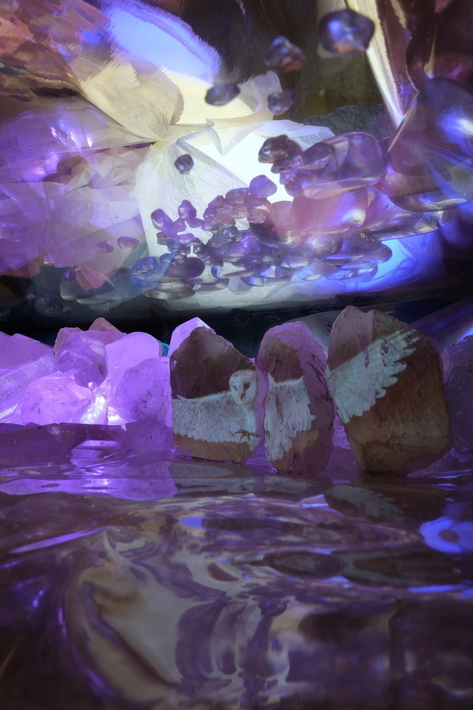 Eule | cornelia-geissler - Realisiert mit Pictrs.com