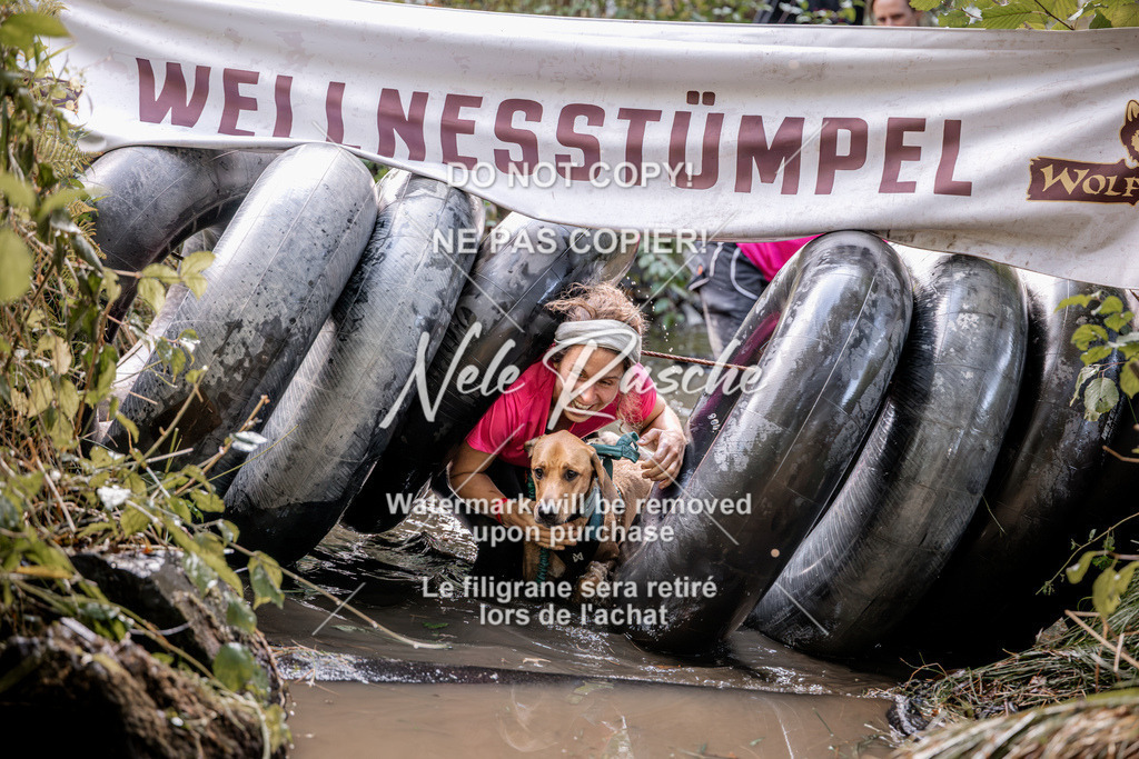 nelerasche_Hunsrück2026_Sa1400-1500_302 | nelerasche