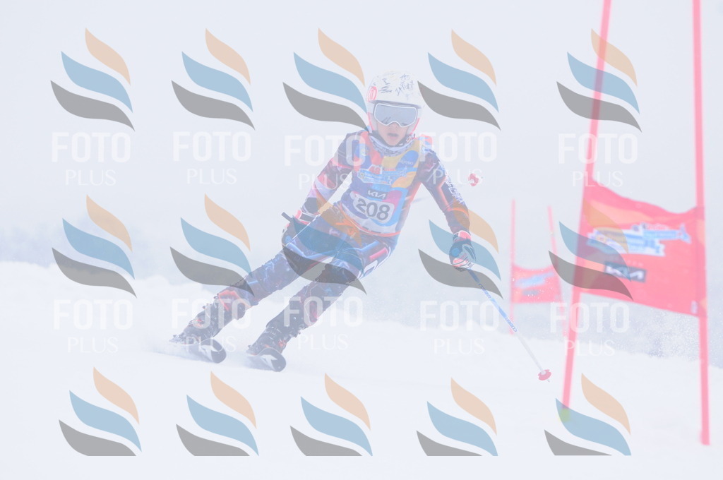 C2245 | holidayphoto